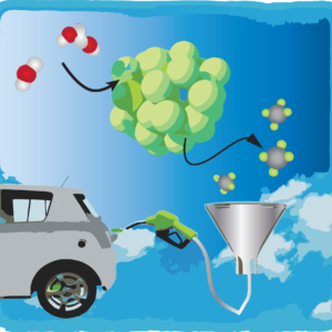 CO2 Capture and Utilization Editorial