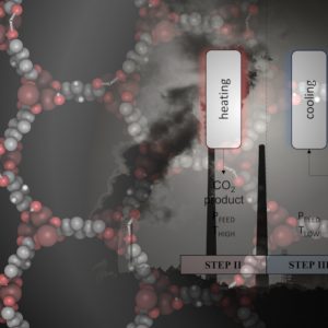 A data-science approach to predict the heat capacity of nanoporous materials